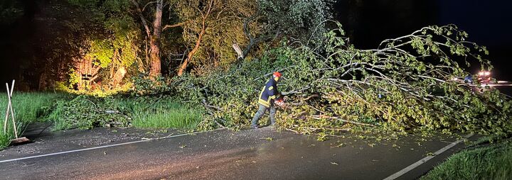 Entwurzelter Baum auf B 314