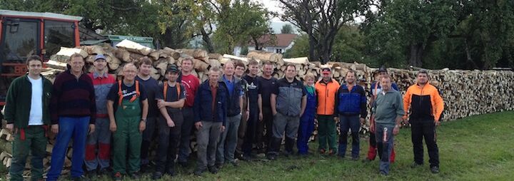 Brennholz für Zeltlager 2014