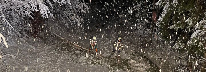 Umgestürzte Bäume durch Schneebruch