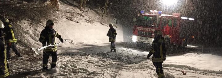 Umgestürzte Bäume durch Schneebruch