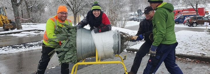 Christbaumverkauf 2022