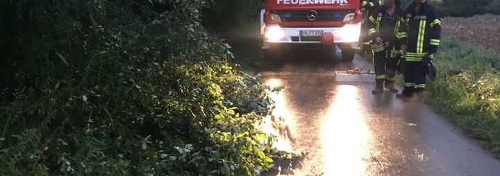 Baum über Kreisstraße