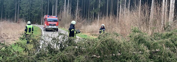 Einsätze wegen Windwurf K 6137