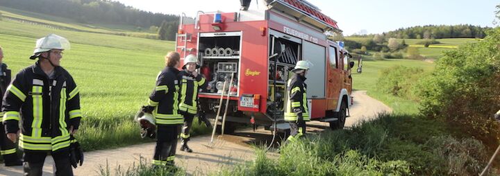 Brand einer Hecke