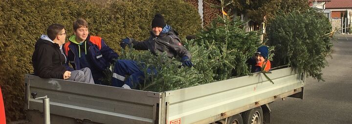 Sammelaktion  für Christbäume
