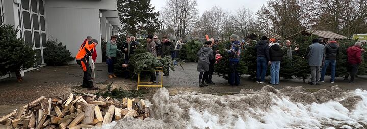 Christbaumverkauf 2023