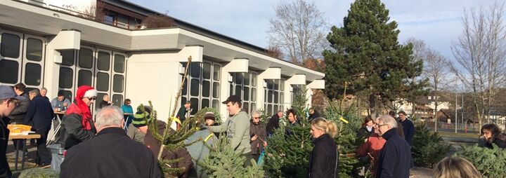 Christbaumverkauf 2015