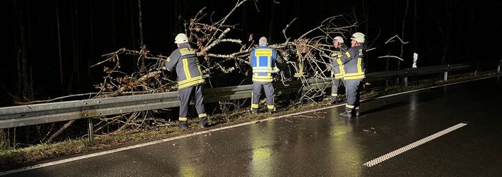 Baum von Fahrbahn beseitigt