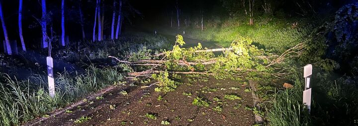 Baum blockiert Kreisstraße 6135