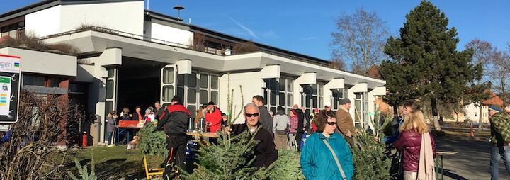 Christbaumverkauf 2016