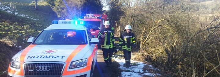 Waldarbeiter von Baum eingeklemmt