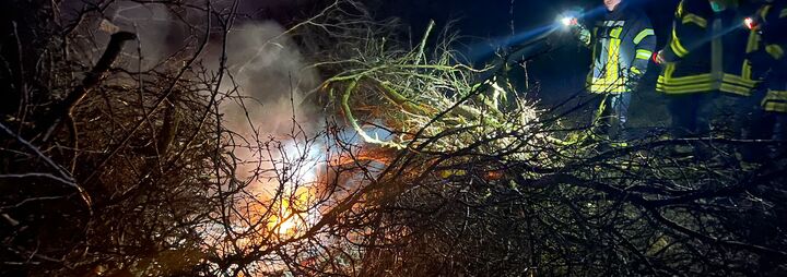 Brennendes Gestrüpp