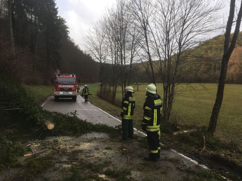 Baum über Fahrbahn Feuerwehr Tengen